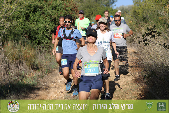 RT_ghr22-0239