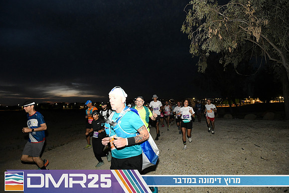 EY_DMR25-0115