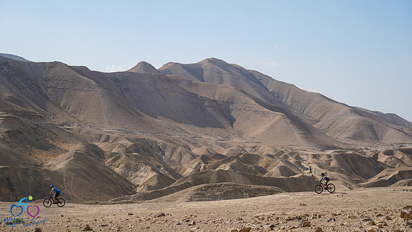 HL_WOL24-074