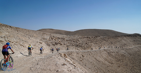 HL-d2_WOL24-027
