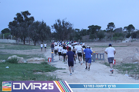 MP_DMR25-0141