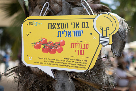 EP_Gezer_hm-24-0285