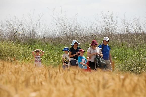 TF_Gezer_hm-24-0956