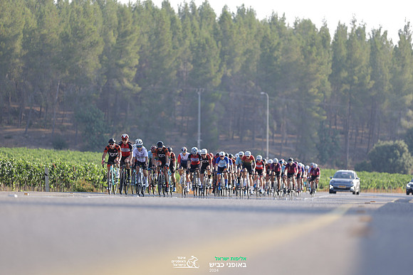 TFeder_ILC-Road24-0407