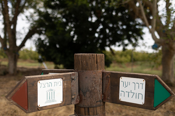 EP_Gezer_hm-24-0002