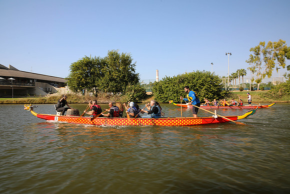 TF_dbd-201022-1420