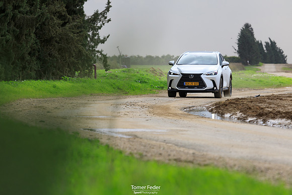 TF_Lexus-nx450h-317