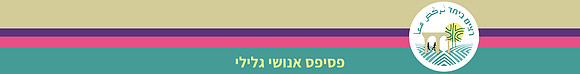 סטריפ עליון