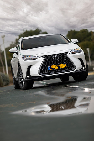 TF_Lexus-nx450h+-085