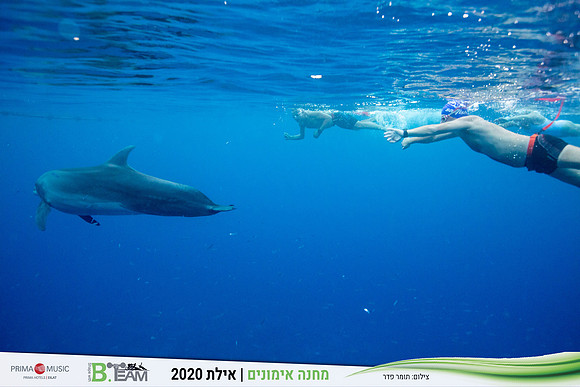 TF_Bteam-eilat_2020-1249