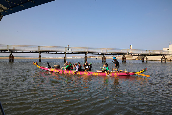 TF_dbd-201022-1064