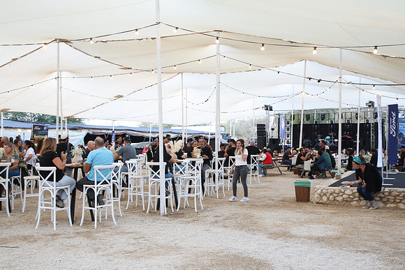 TF_F-estival-22-0647