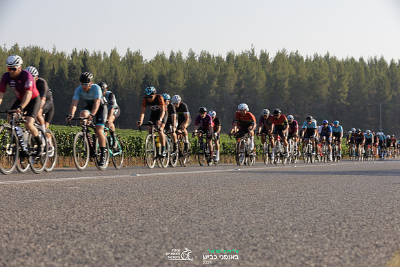 TFeder_ILC-Road24-0390