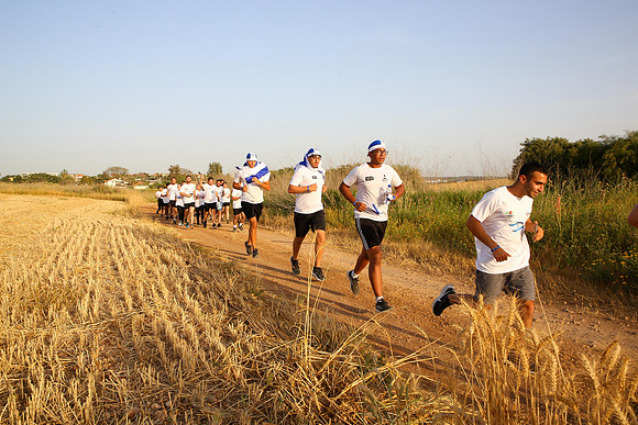 TF-rfl22-0118