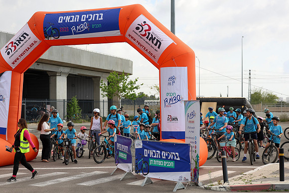 OI_RSD-B-028