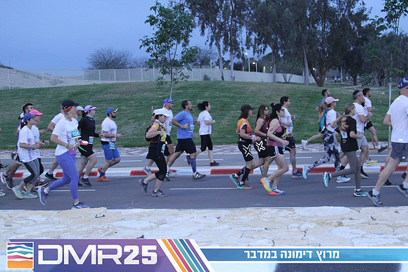 MP_DMR25-0131