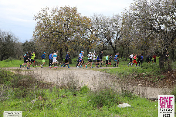 TFeder_DNF23-0532