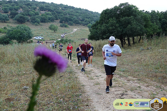 AK_TVR24-0902
