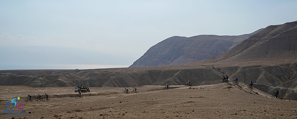 HL_WOL24-071