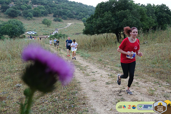 AK_TVR24-0905