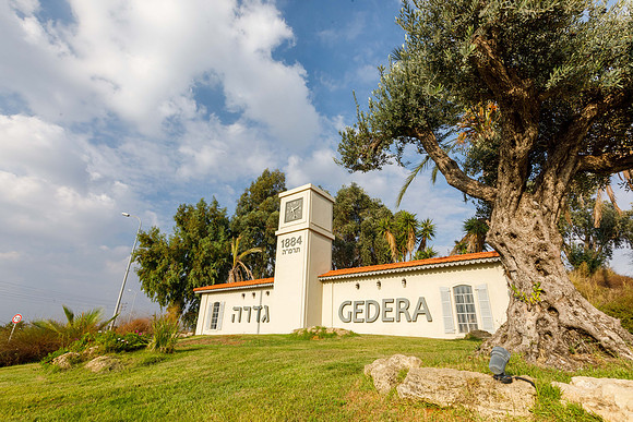 TF_Gedera_e-01