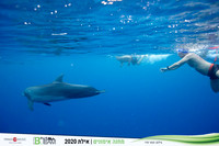 TF_Bteam-eilat_2020-1248