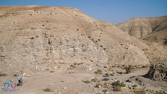 HL_WOL24-217