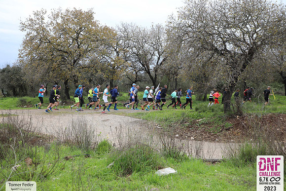 TFeder_DNF23-0533