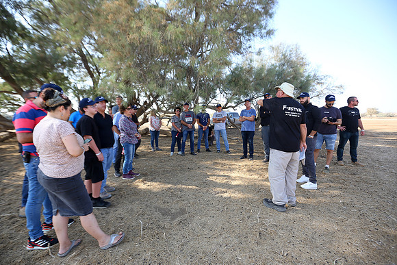 TF_F-estival-22-0244