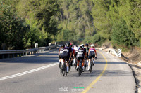 TFeder_ILC-Road24-0424