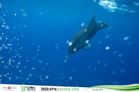 TF_Bteam-eilat_2020-1160