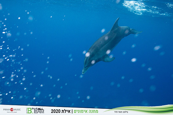 TF_Bteam-eilat_2020-1160