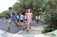 תמונות מסלול - 2