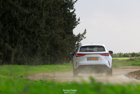 TF_Lexus-nx450h-300