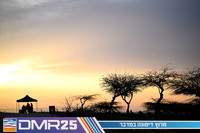 EY_DMR25-0580