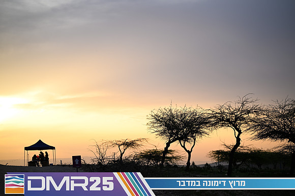 EY_DMR25-0580