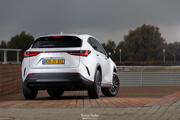 TF_Lexus-nx450h-163-