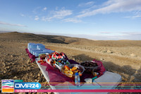 TF_DMR24-0091
