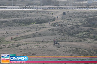 RT_DMR24-0120