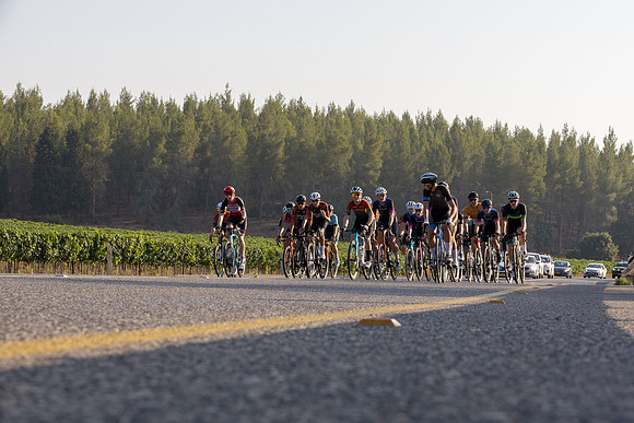 TFeder_ILC-Road24-0373