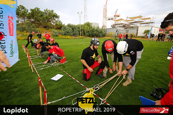 TF_prt19-0428