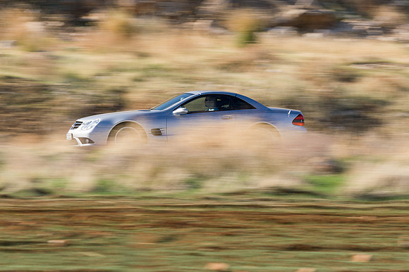Tal Shavit SL55