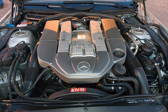 Tal Shavit SL55