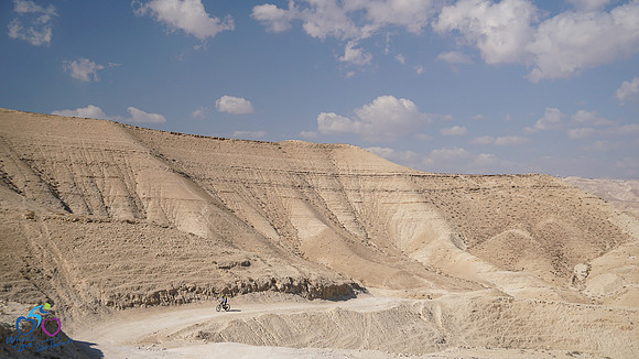 HL_WOL24-163
