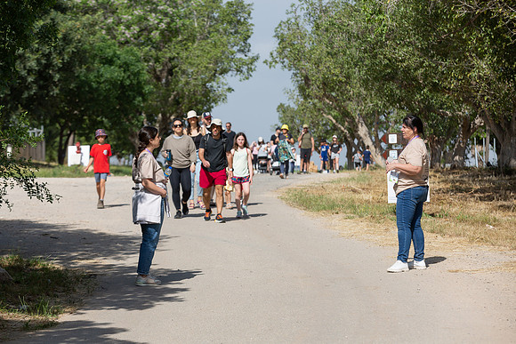 EP_Gezer_hm-24-0086