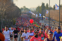 OZR30076 עוז שכטר