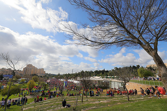 OZR_0528 עוז שכטר