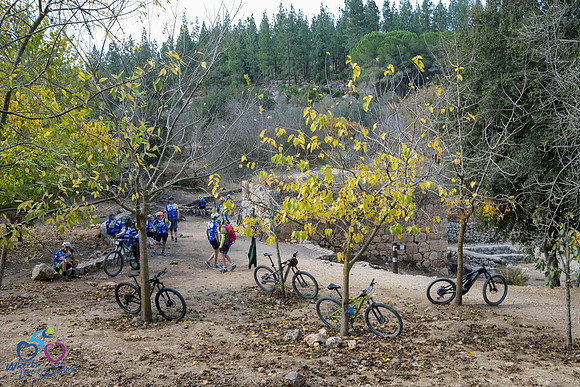 WOL Trail Day 4-20