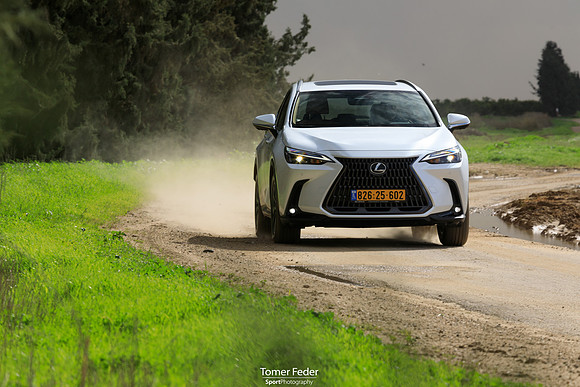 TF_Lexus-nx450h-334