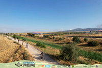 DJI_0175